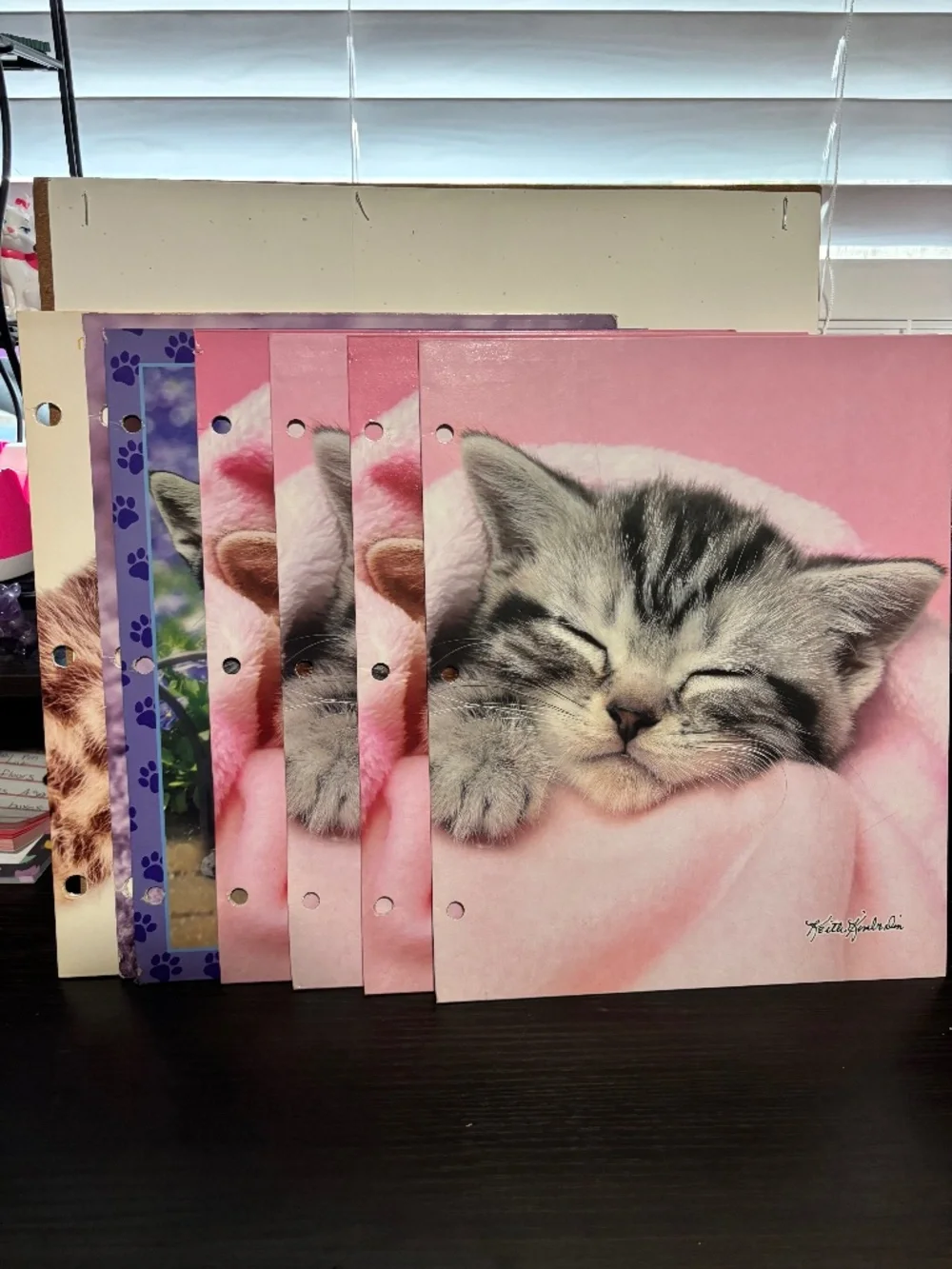 Cat/ Kitten Folder Bundle